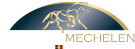 LOGO-MECHELEN-GROOT-wit